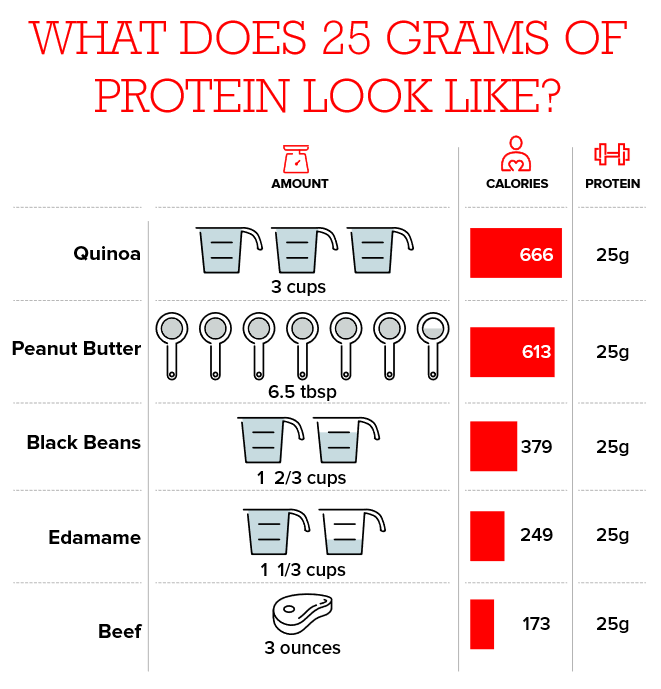 Protein and Strength